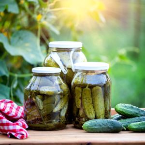 How to pickle cucumbers get a quote