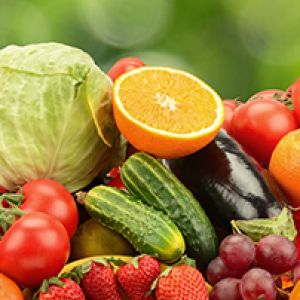 Introduction to vegetables get a quote
