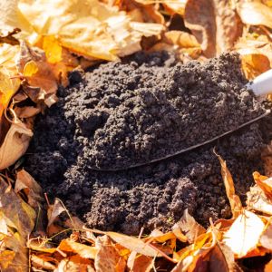 Uses of compost get a quote