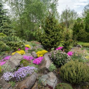 Introduction of rock plants get a quote