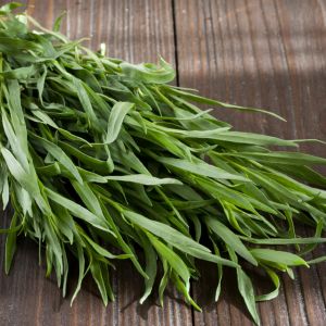 Growing Tarragon get a quote
