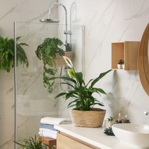 Best Plants For Bathroom get a quote