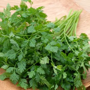 Growing Chervil get a quote