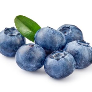 Growing Blueberries get a quote