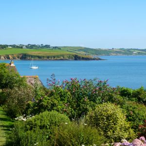 Plants That Can Survive Coastal Exposure get a quote