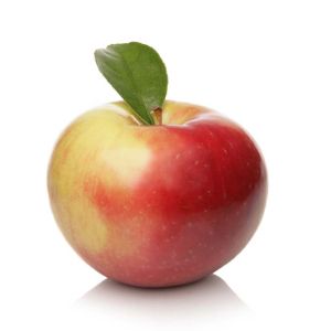 Apple – Zestar Apple tree get a quote