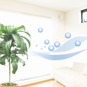 House Plants to Purify Your Air get a quote