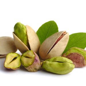 Growing Pistachio get a quote