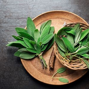 Growing Sage get a quote