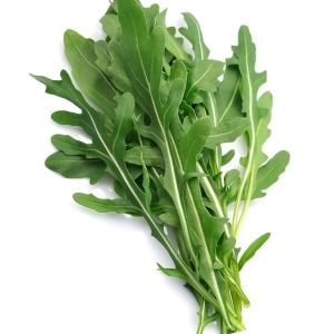 Growing Arugula get a quote