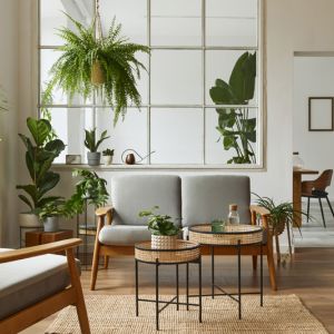 Best plant for an Apartment get a quote