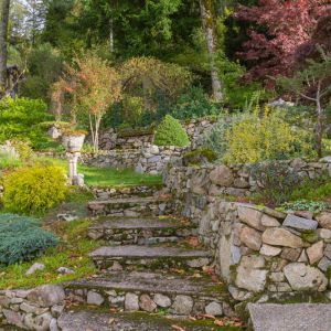 Best Plants for Hillside get a quote