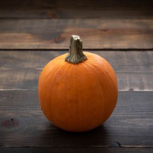 Wee Ones Pumpkin get a quote