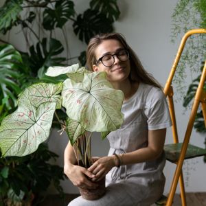 House Plants Are Your Mood Improvers get a quote