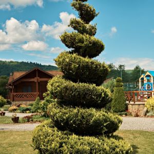 Introduction To Topiaries And Their Upkeep get a quote