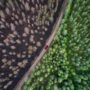 Fire Retardant Plants get a quote