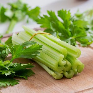 Growing Celery get a quote