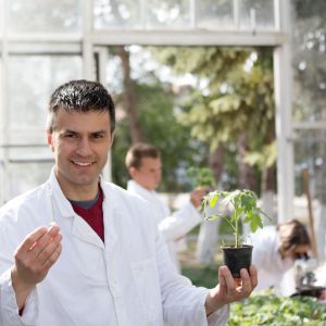 Buy Lesson's 101... Plants