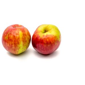Apple – Gravenstein Apple tree get a quote