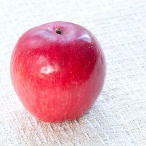 Apple – Liberty Apple tree get a quote