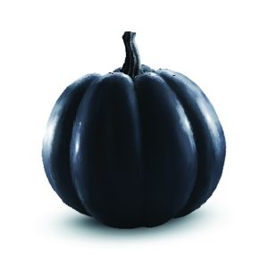 Black Kat Pumpkin get a quote
