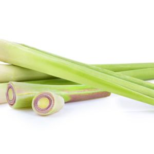 Growing Lemon Grass get a quote