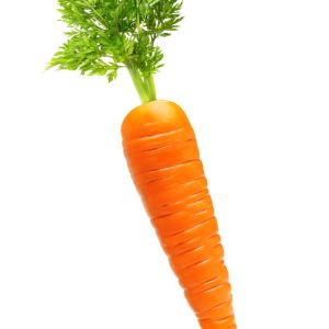 Growing Carrots get a quote