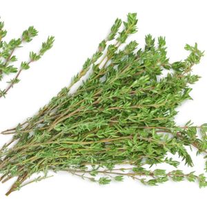 Growing Thyme get a quote