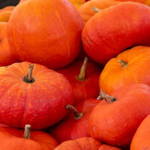 Cinderella Pumpkin get a quote